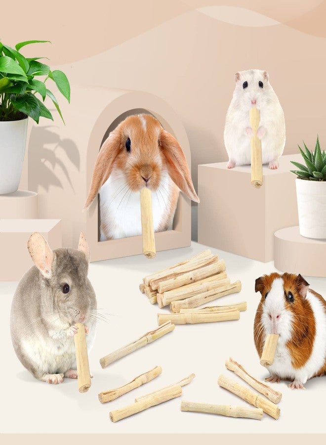 Bissap 700g/1.5Ib Sweet Bamboo Chew Sticks for Rabbits, Bunny Chewing Sticks for Rabbits Hamster Chinchilla Guinea Pigs Rabbit Small Animals Natural Treats Teeth Grinding Toys - Image 5